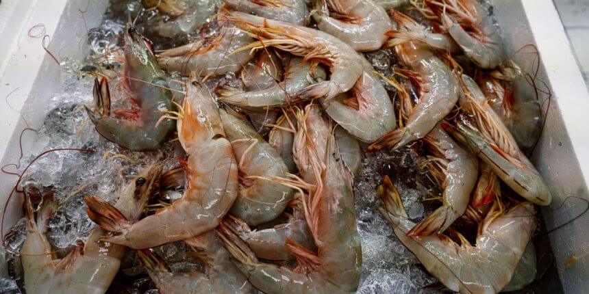 美國最大食品集團與支付巨頭萬事達合作開發區塊鏈溯源應用
