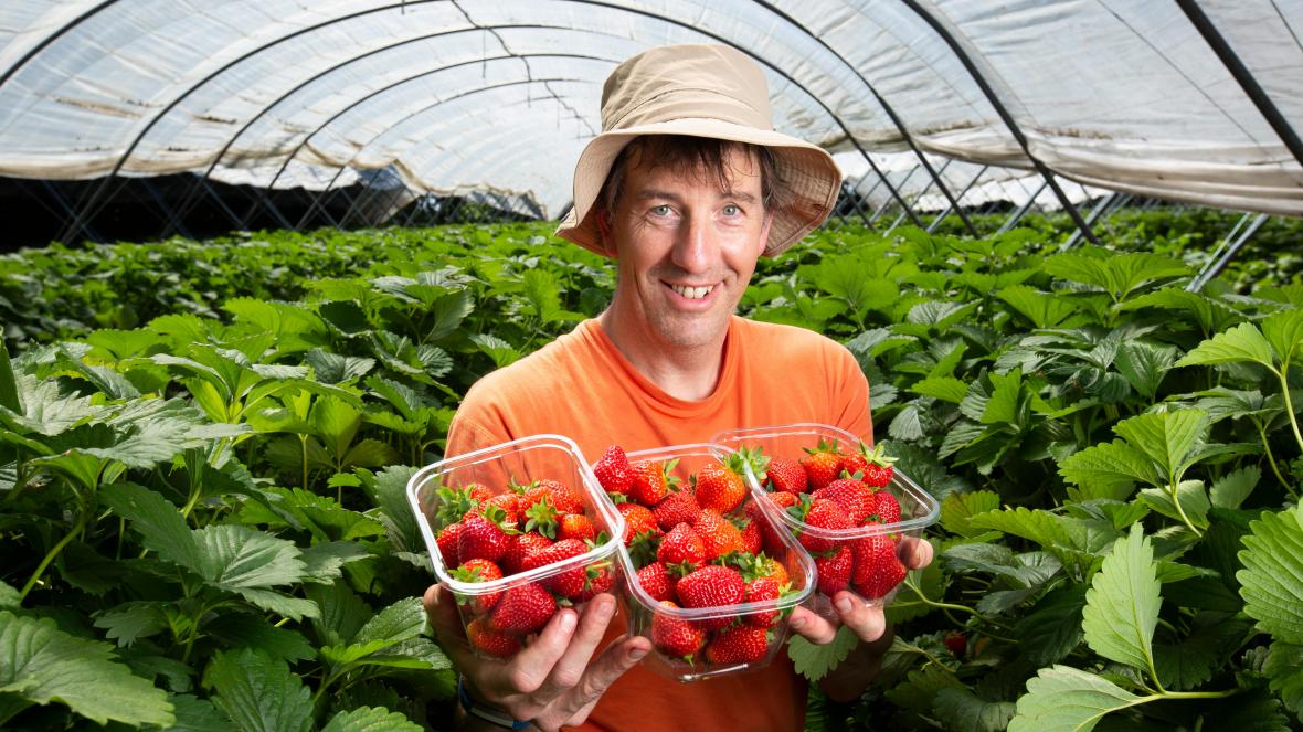 【鏈聞精選】Yield Farming(流動性挖礦、收益農場)項目全收錄，有哪些機會與挑戰？