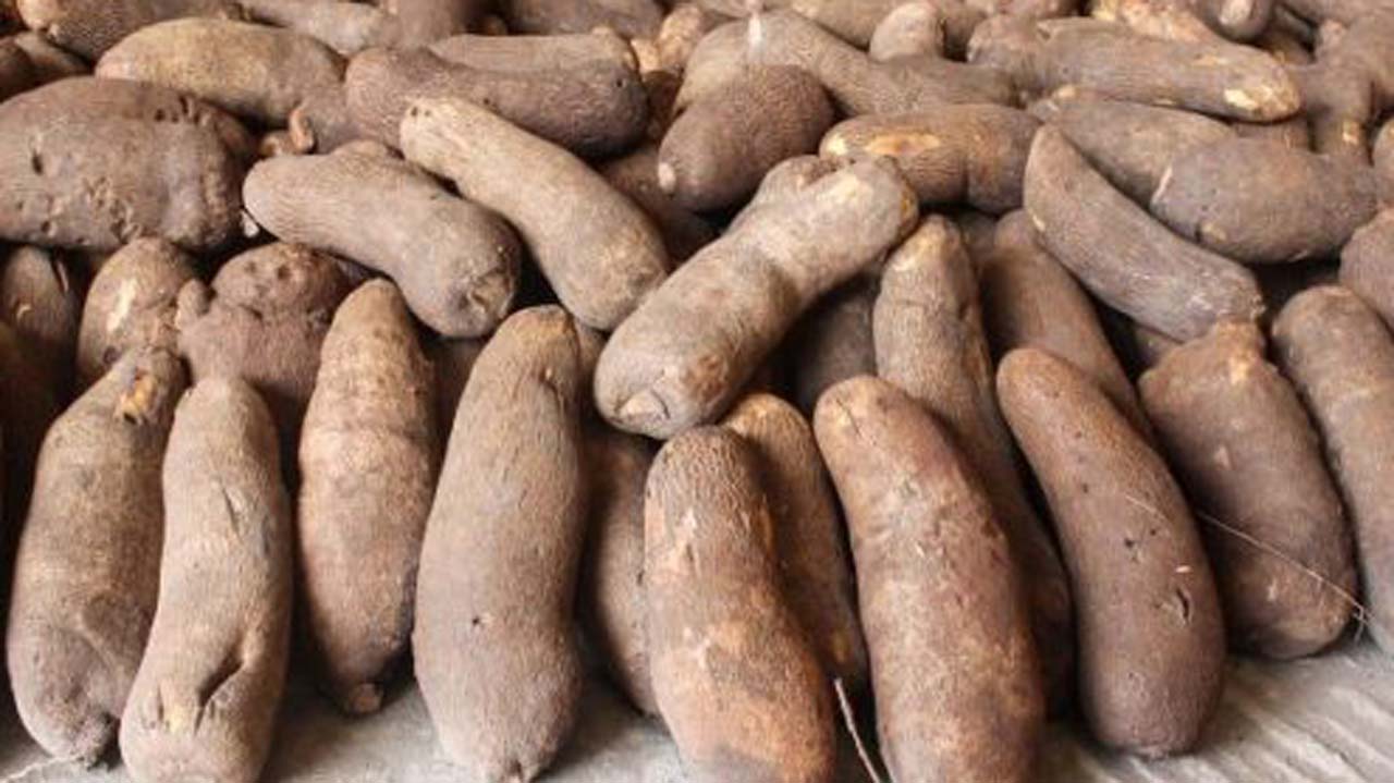 蕃薯挖礦出包！Yam Finance主動勸退用戶，聲明有望推出YAM 2.0
