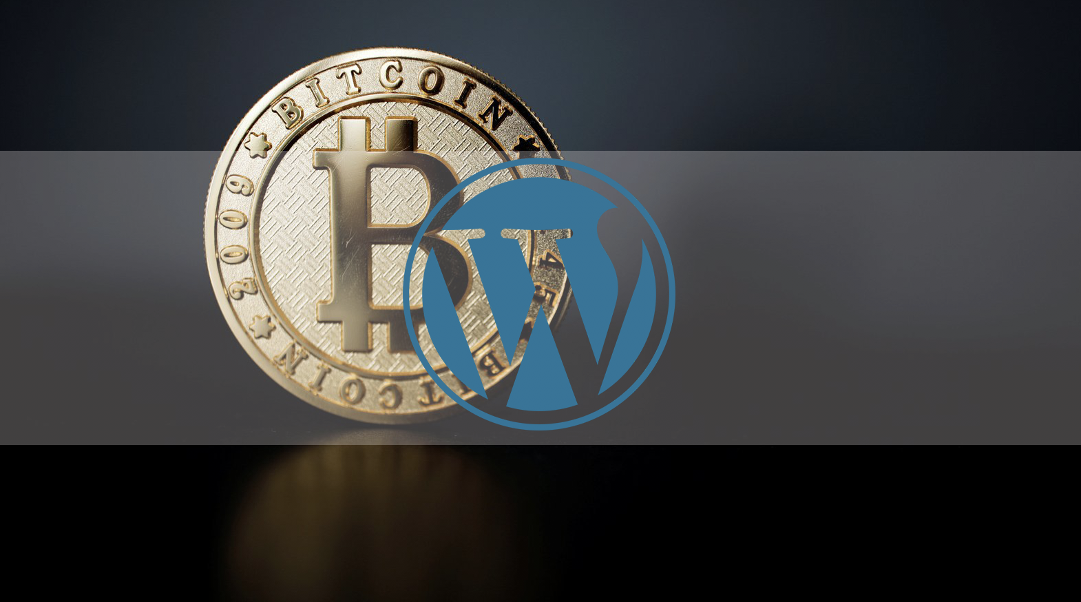 元老級佈道者！Vitalik興奮回顧八年前報導：WordPress接受比特幣支付
