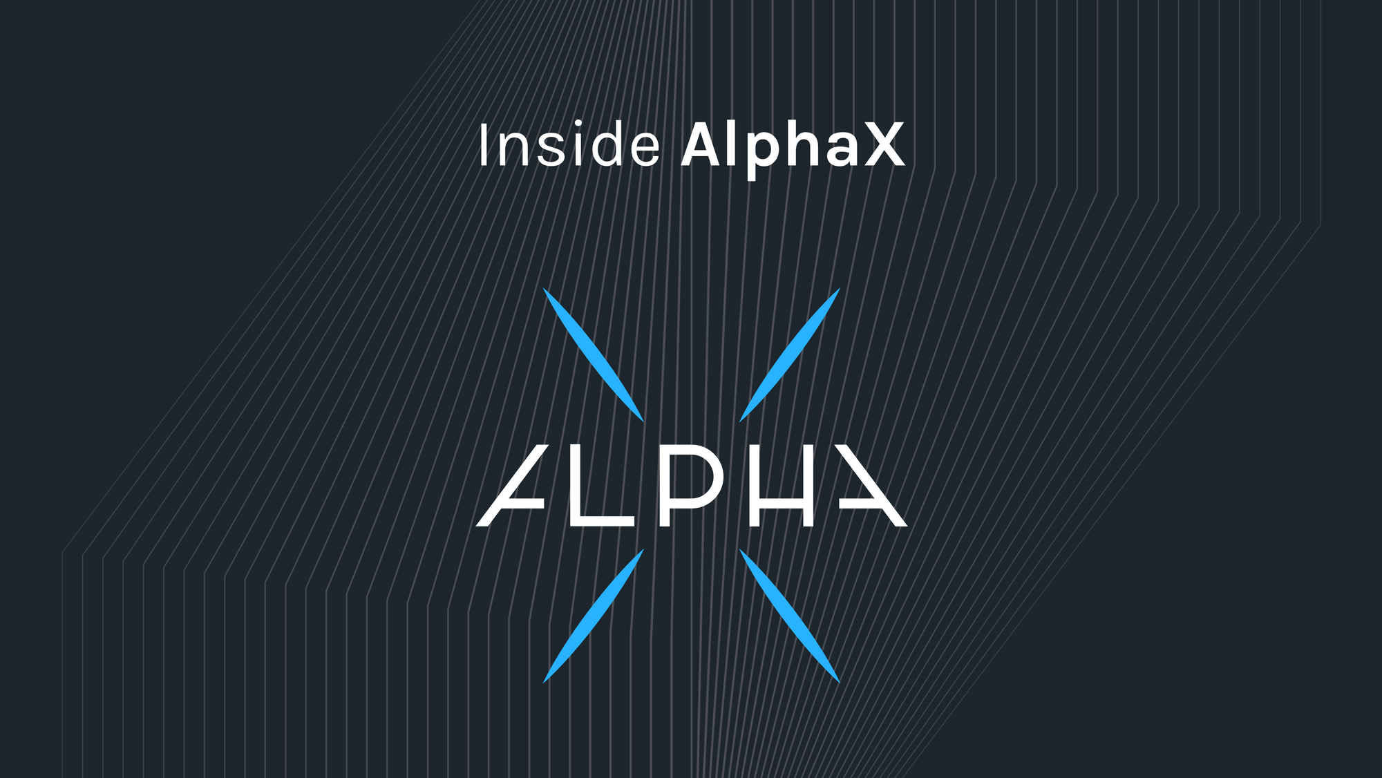 無訂單簿的永續合約，Alpha新產品「AlphaX」在玩什麼？