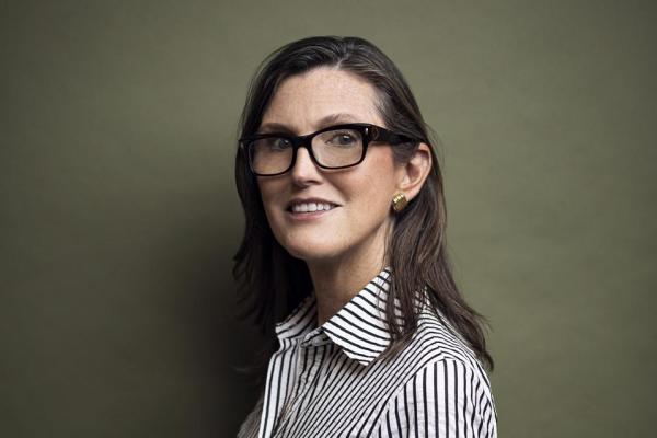 比特幣｜方舟投資Cathie Wood：我們在投降期，指標告訴我是買入時機