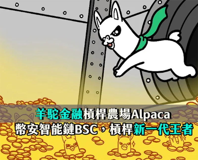 BSC幣安智能鏈| 槓桿農場新一代王者羊駝金融Alpaca，收益原理是什麼？