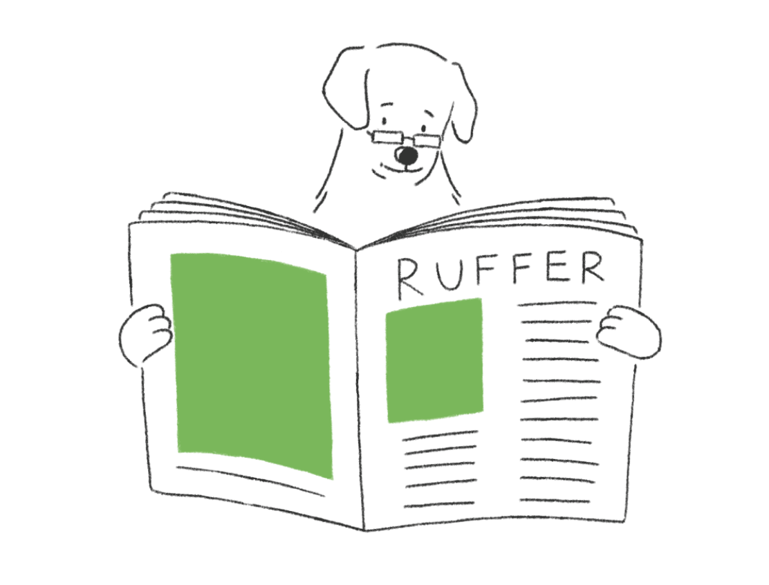 Ruffer 投資總監透露：狗狗幣熱潮是公司出售比特幣的投機訊號