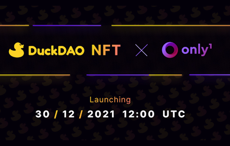 首個去中心化風投DuckSquad即將登陸Only1