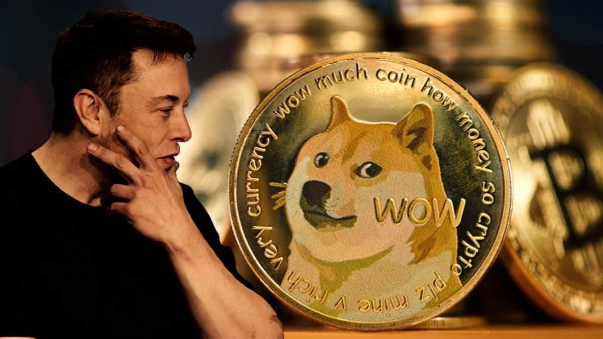 狗狗幣投資者不堪虧損,提告馬斯克!稱「金字塔騙局」求償2,580億美元 狗狗幣投資者不堪虧損,提告馬斯克!稱「金字塔騙局」求償2,580億美元