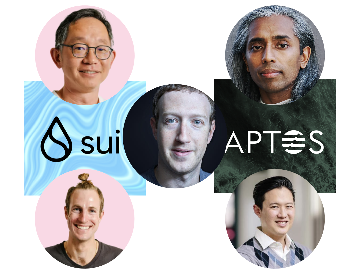 Meta男子圖鑑：Aptos與Sui誰的血統更純？