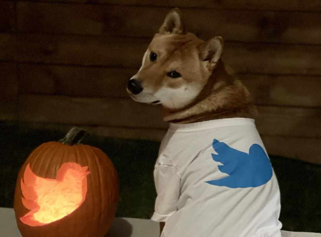 推特可能採用狗狗幣(DOGE)嗎？了解推特如何營利、這樣就會漲嗎？