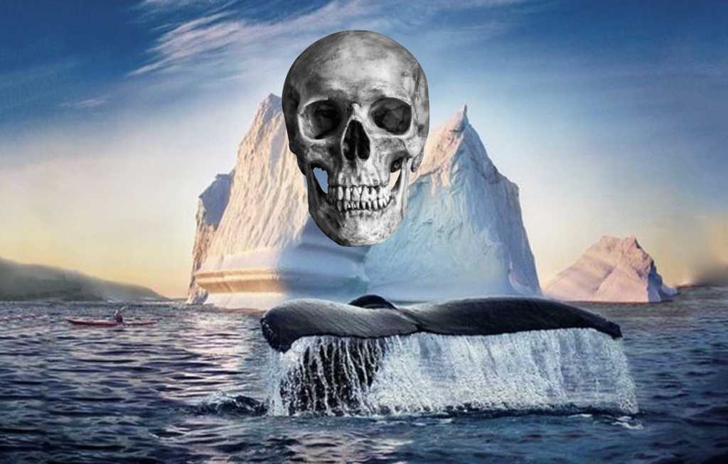Amber Group彙整｜消息人士透露：外傳WhaleFin狀況僅為冰山一角，CeFi恐無一安全