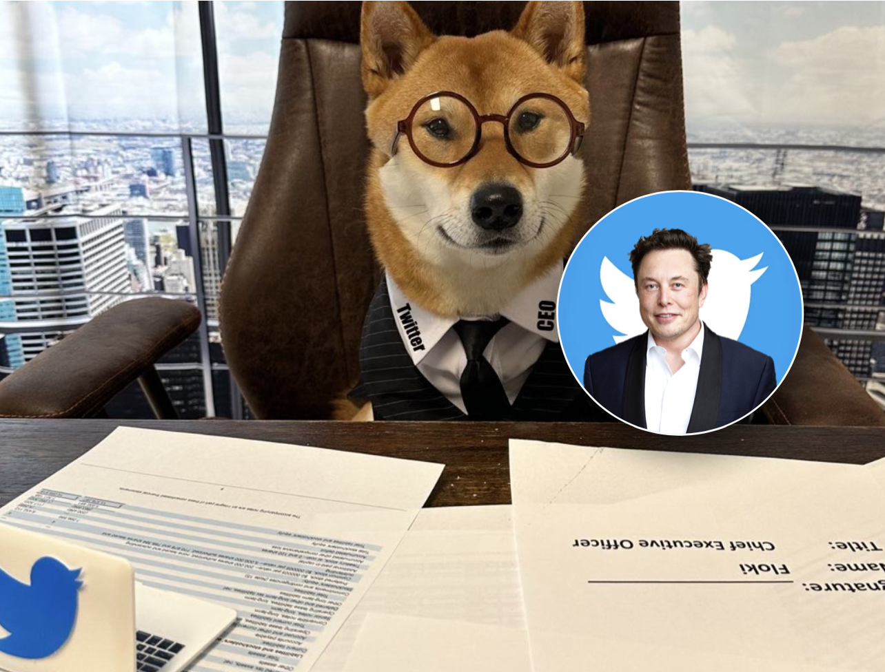 馬斯克推特曬三張愛犬圖！狗狗幣漲5%，FLOKI暴漲25% | 鏈新聞ABMedia