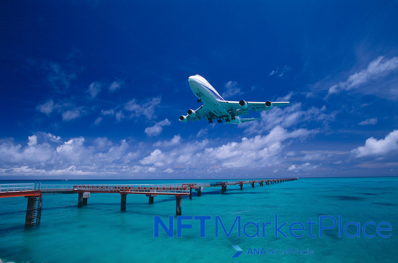 日本龍頭航空全日空(ANA)推出NFT市場！精美航空攝影照已喊價至16萬日圓