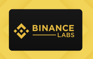 Binance Labs 如何成長為 90 億美元規模、資源最完善的加密圈創投機構？