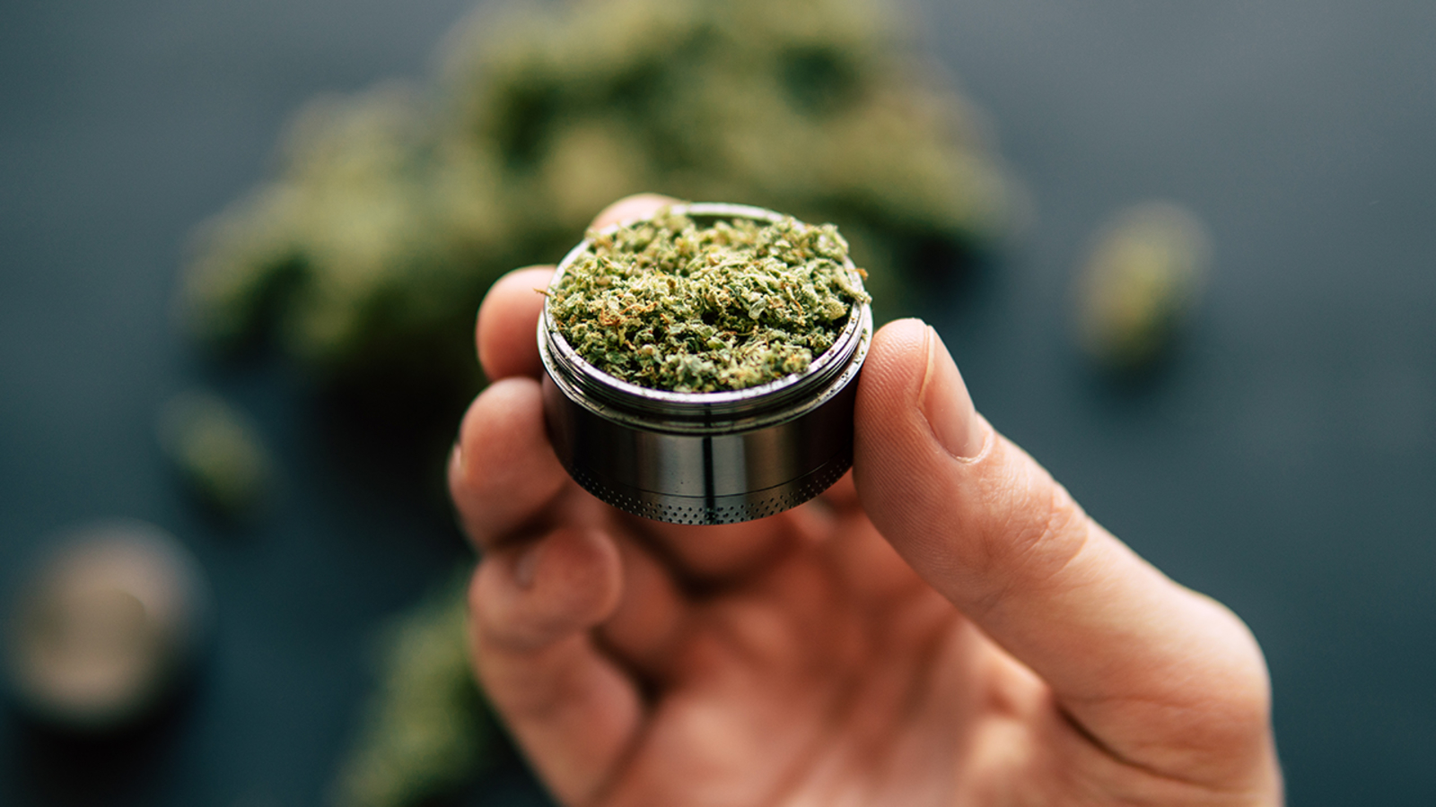 《野人七號部落》主持人科七涉嫌大麻交易！多次使用USDT支付