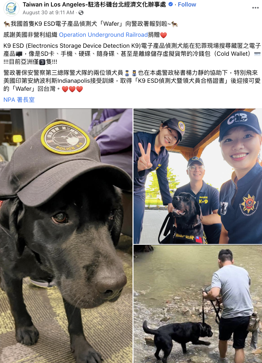 台灣引進專業電偵犬Wafer助力打擊數位犯罪
