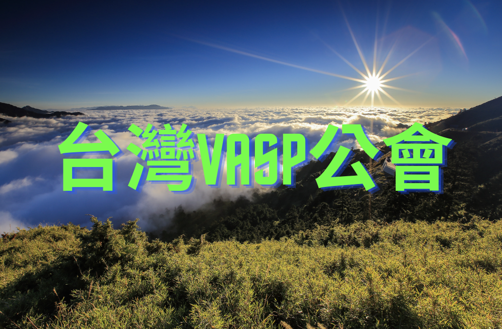 臺灣 VASP 公會籌備小組由三大交易所領頭，預計 10 月中申請組成，廣納各類業者
