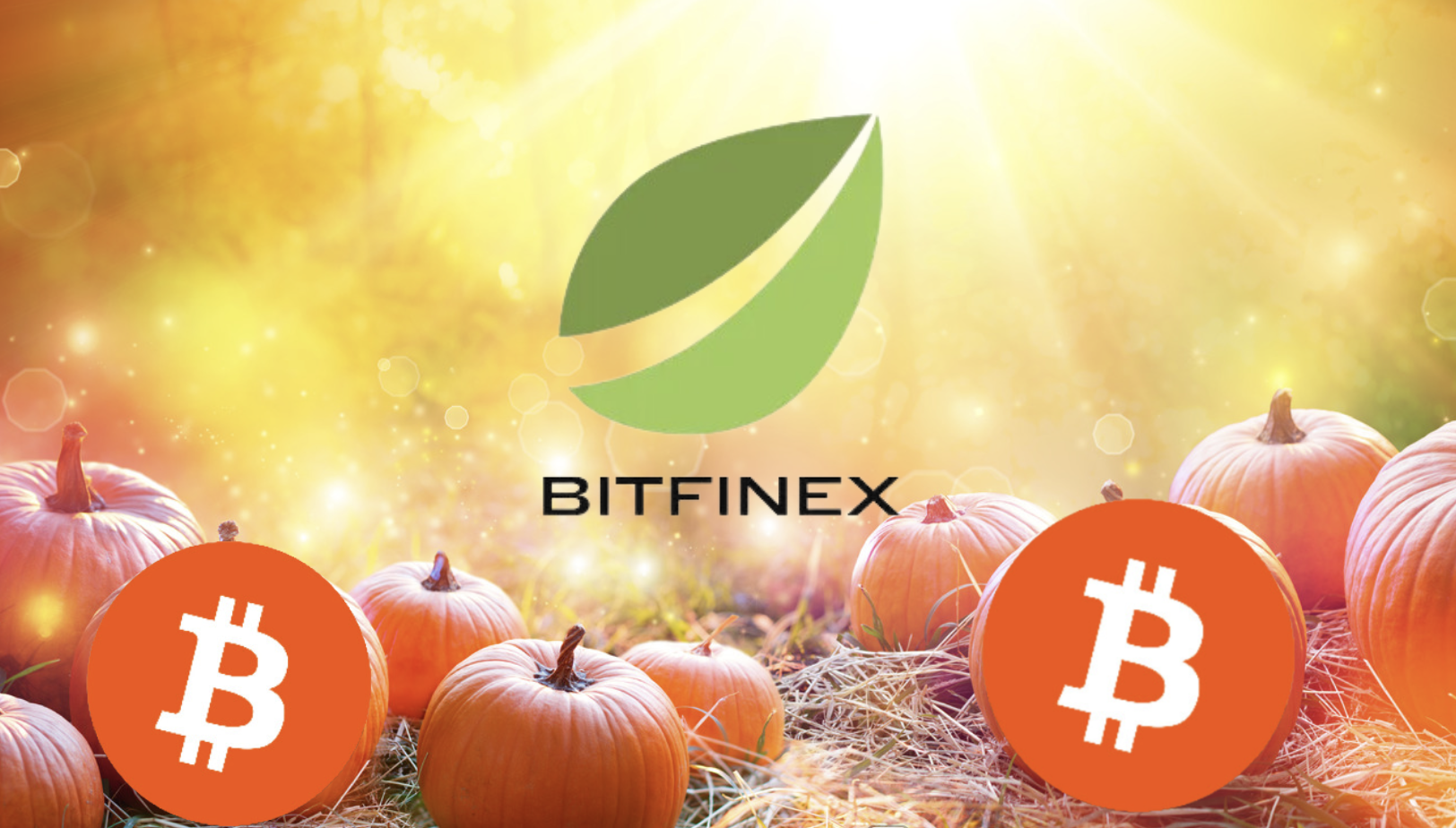 Bitfinex 和 Tether 的秘密策略：穩定幣龍頭成為全球前十比特幣持有者