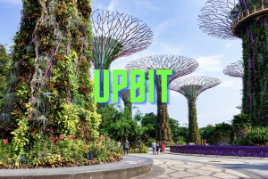 新加坡 Upbit 獲得金融管理局初步許可，得以持續加密支付服務