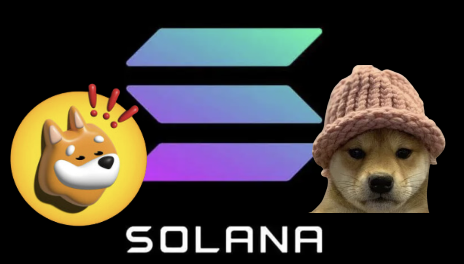 Solana 突破 120 美元，狗狗迷因幣 BONK、WIF 接力發酵