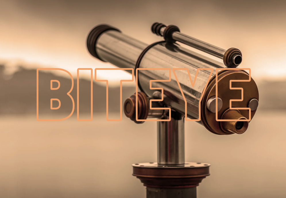 Biteye 2024 年度賽道展望：BTC 生態:模組化區塊鏈:DA:DePIN:新公鏈等
