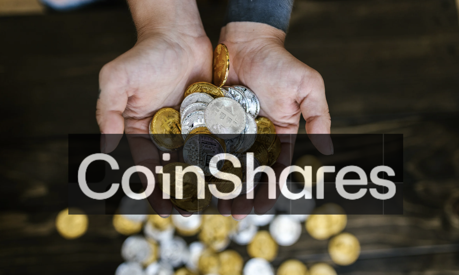 CoinShares：數位資產投資產品上週流入創紀錄的24.5 億美元| 鏈新聞ABMedia