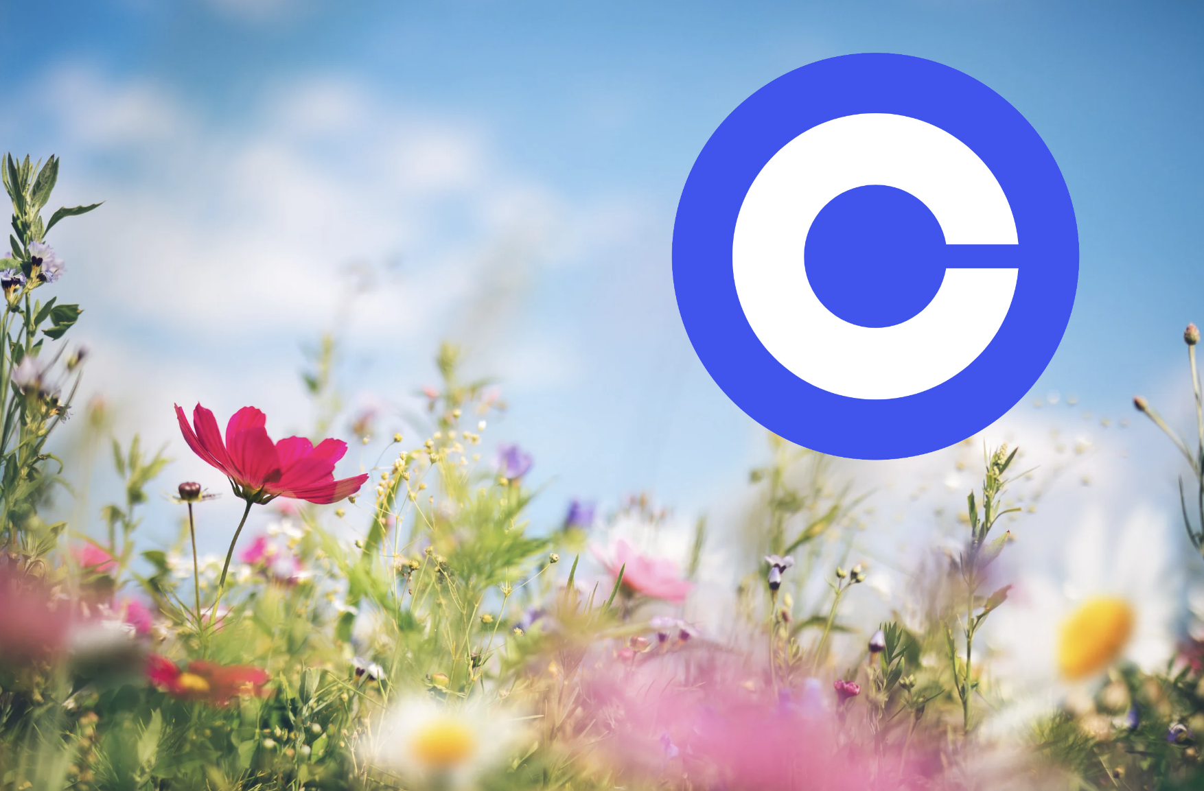 交易回升，Coinbase 實現 2023 年全年獲利，股價大漲 14%