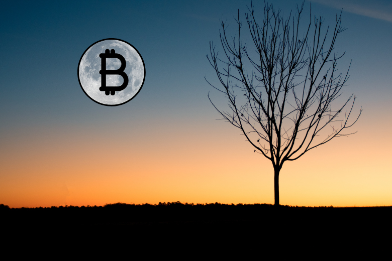渣打、Matrixport齊喊：比特幣幾天內創新高，ETH ETF批准利多加持
