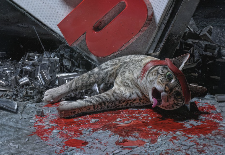 Roaring Kitty 歸來：Keith Gill 自迷因股狂潮以來首次直播，GME 暴跌 40%