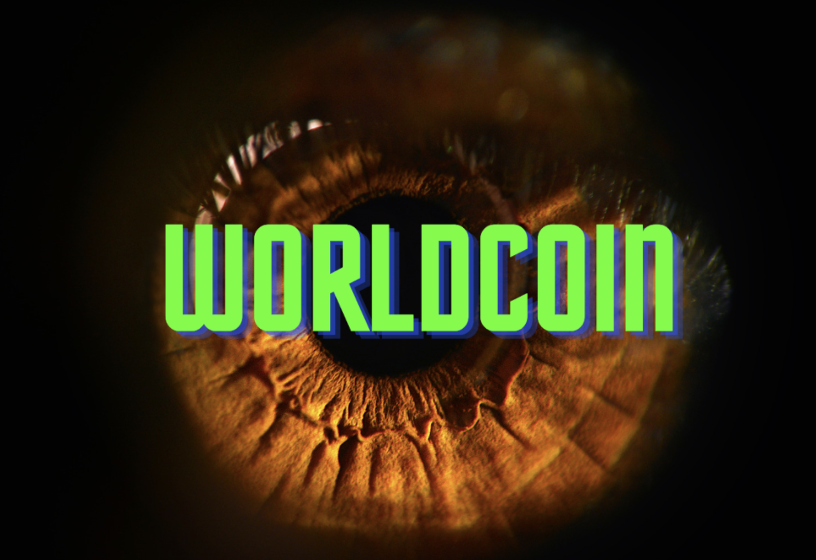陣容堅強！Worldcoin 聘請多位科技巨頭前高管加入