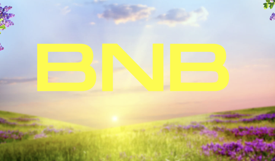 影響加密交易所代幣的主要因素，由BIS報告看幣安BNB走勢