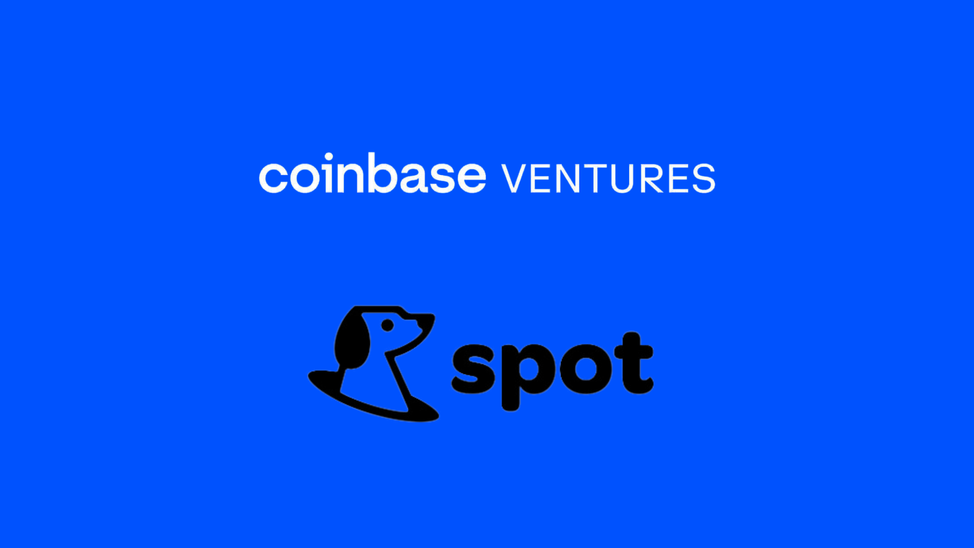 Coinbase Ventures參投Flatcoin專案SPOT融資，打造低波動穩定幣替代品