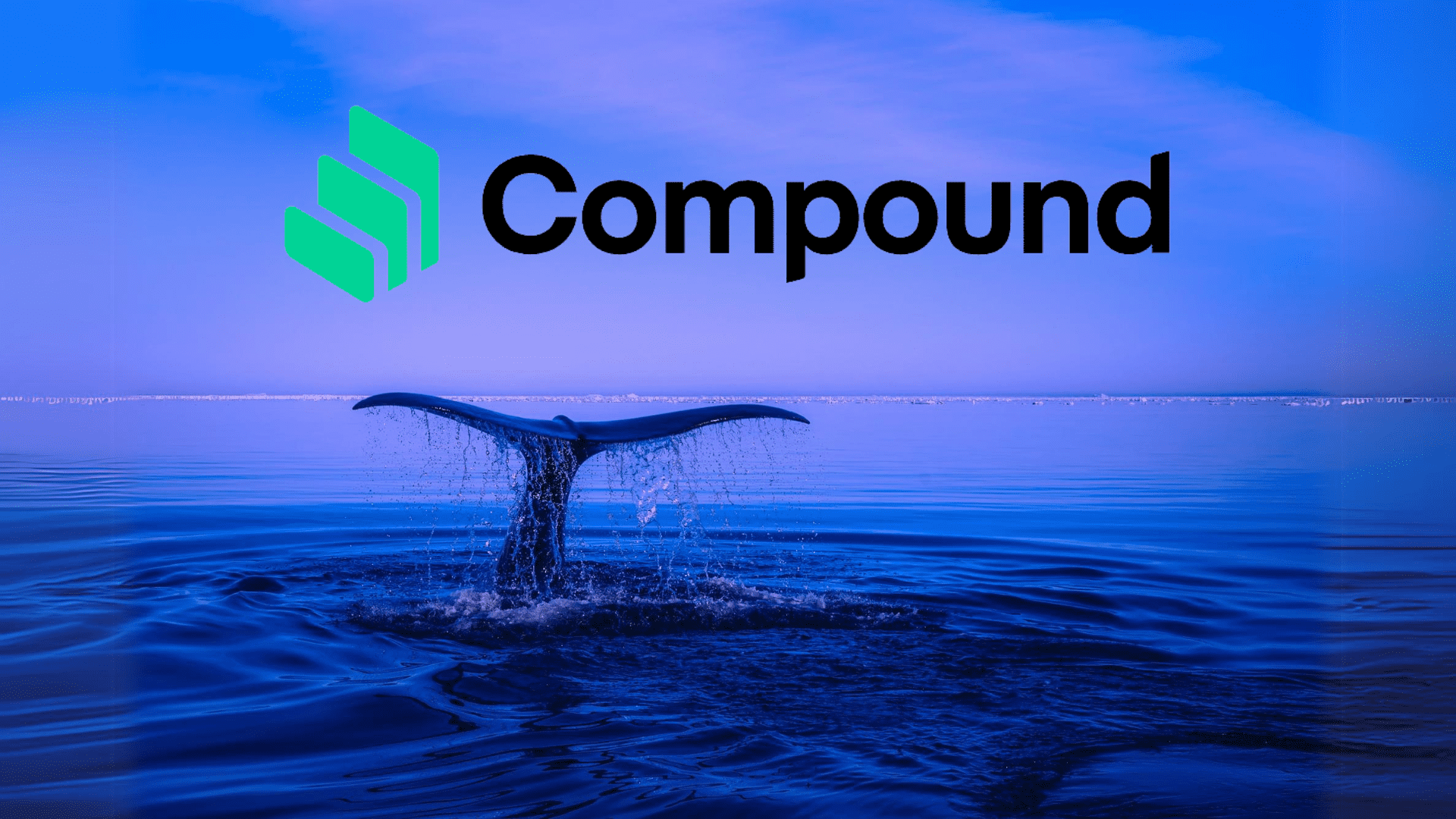 Compound險遭治理攻擊！匿名巨鯨爽拿千萬美元COMP，原來是公關操作？