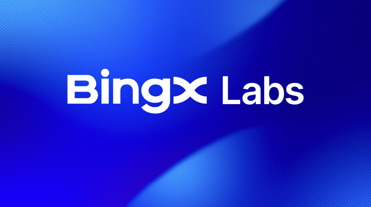 Vivien Lin帶領BingX Labs扶持優質加密新創
