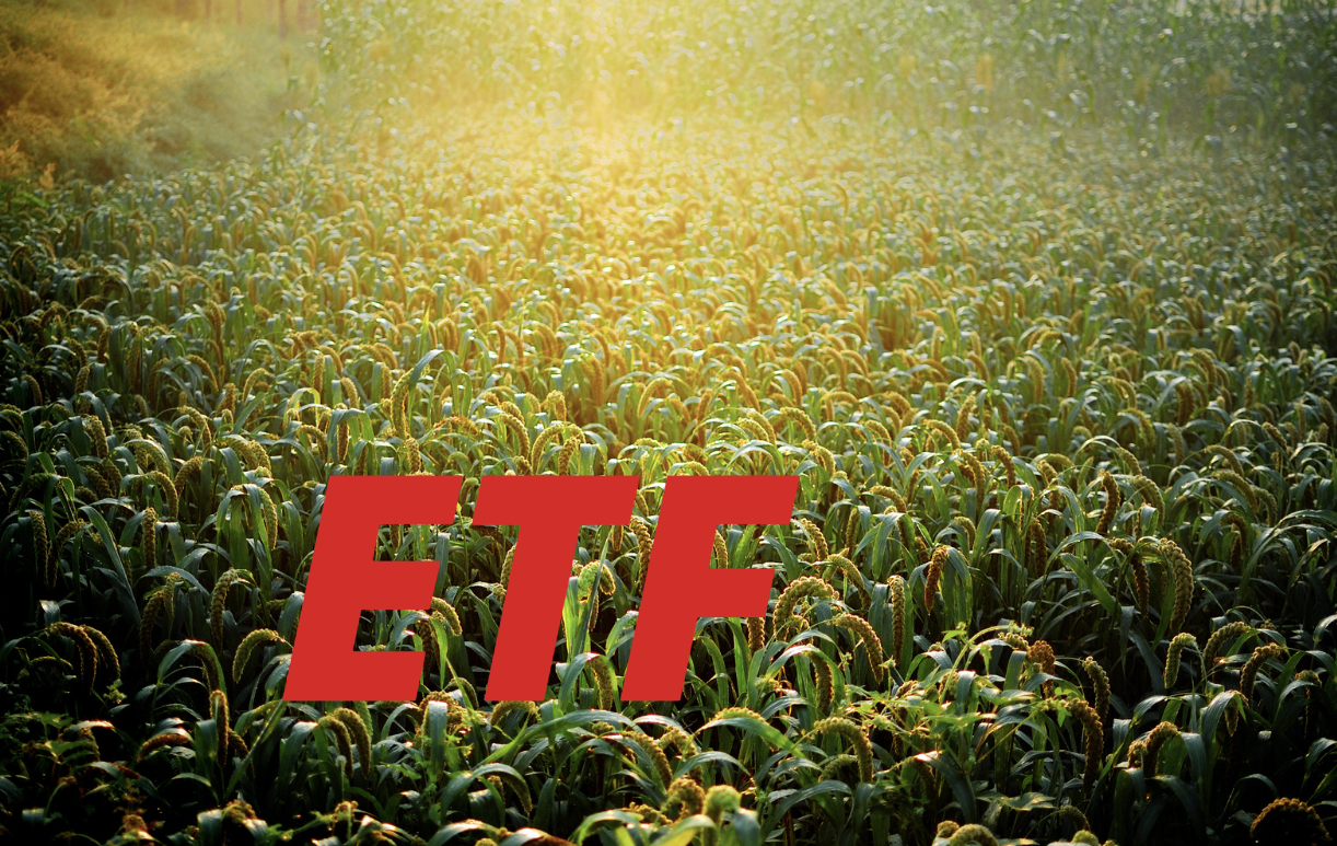2024是ETF豐收年,2025將有更多加密ETF推出 2024是ETF豐收年,2025將有更多加密ETF推出