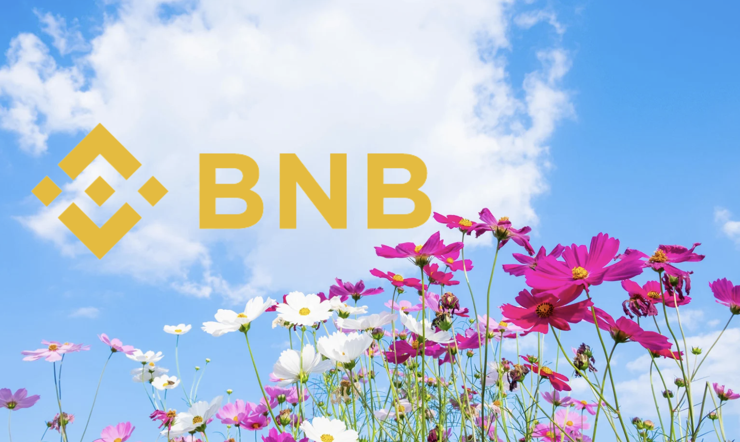 川普對等關稅不會立即執行，美股全線上揚，BNB一度上衝至732鎂