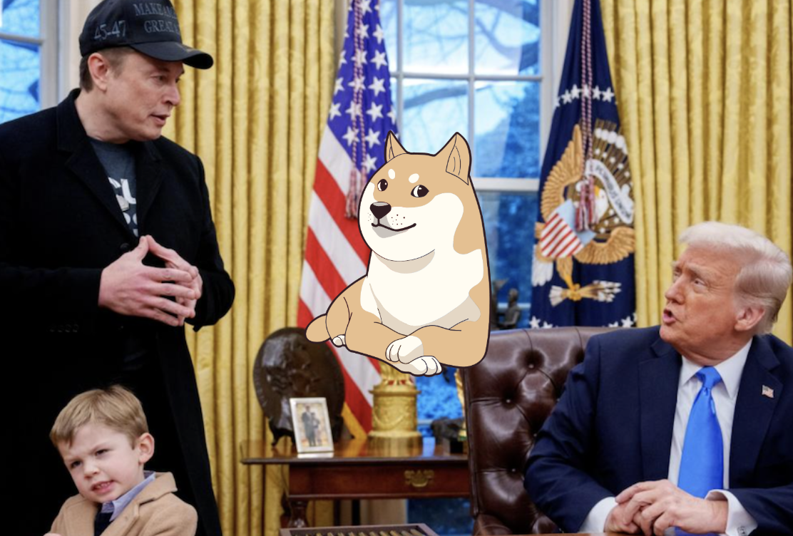 川普與馬斯克攜手宣布 DOGE 計畫！揭露財政弊端反被法院阻撓，川普：絕對上訴到底