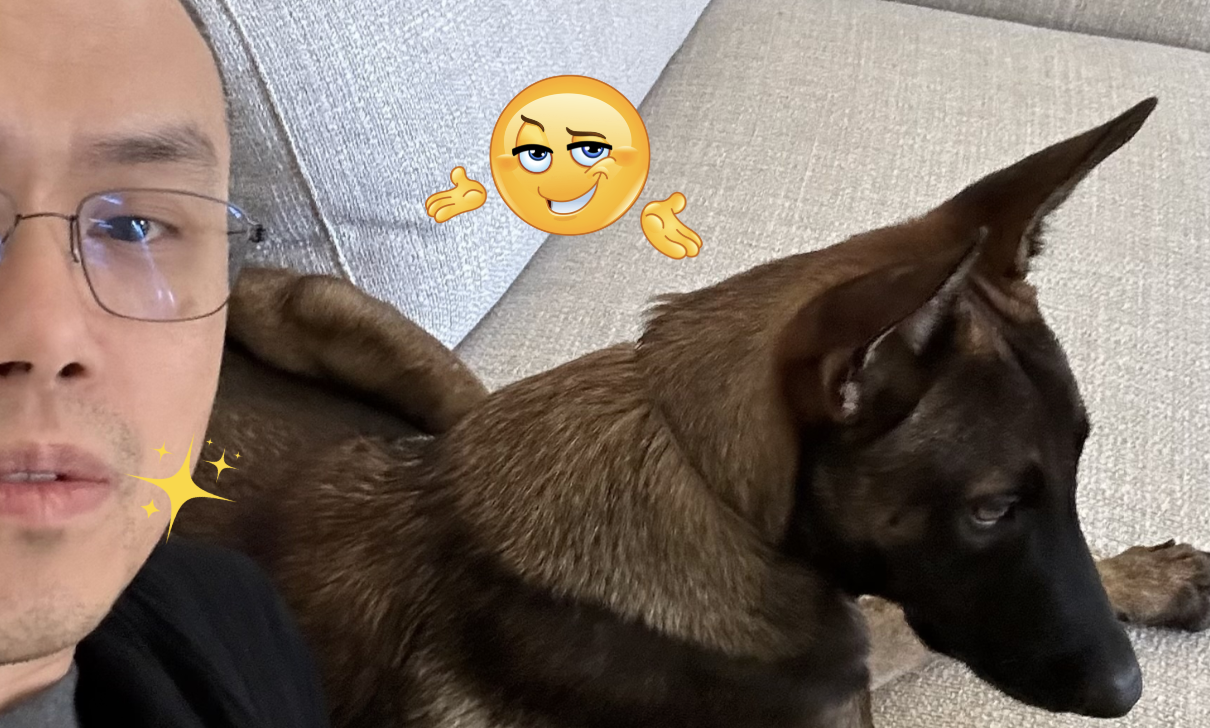 幣安創辦人 CZ 曝光愛犬名字 Broccoli ，相關迷因幣市值一度飆破 2,000 萬美元