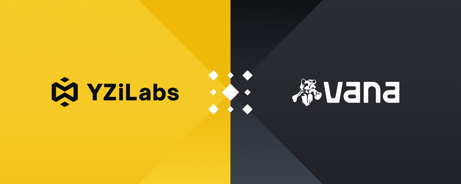 YZi Labs投資加密AI新創Vana：CZ擔任顧問，推動數據所有權革命
