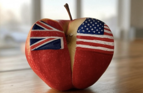 英國要求 Apple 提供用戶數據！美國政府震怒，引爆資安危機