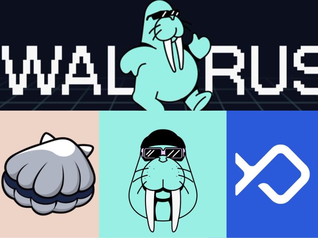Walrus 引領 Sui DeFi 的春天！一文了解目前鏈上有哪些四位數年化收益的 DeFi 挖礦機會