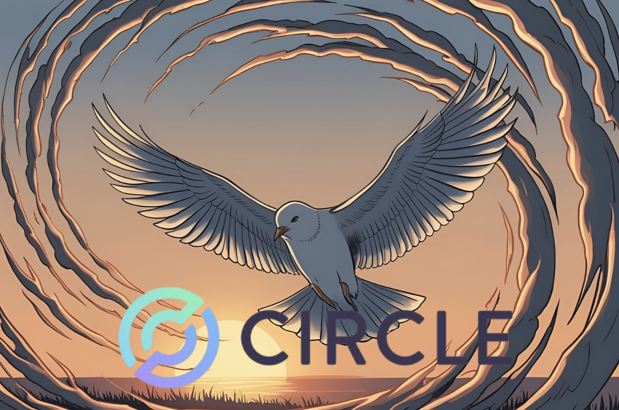 Circle再度挑戰IPO，挺過逆風實現淨利，穩定幣是門好生意嗎？