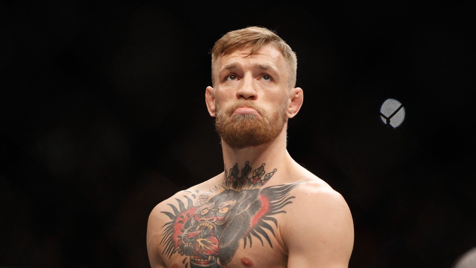 名人代幣退燒！前UFC冠軍Conor McGregor迷因幣REAL預售僅募39%