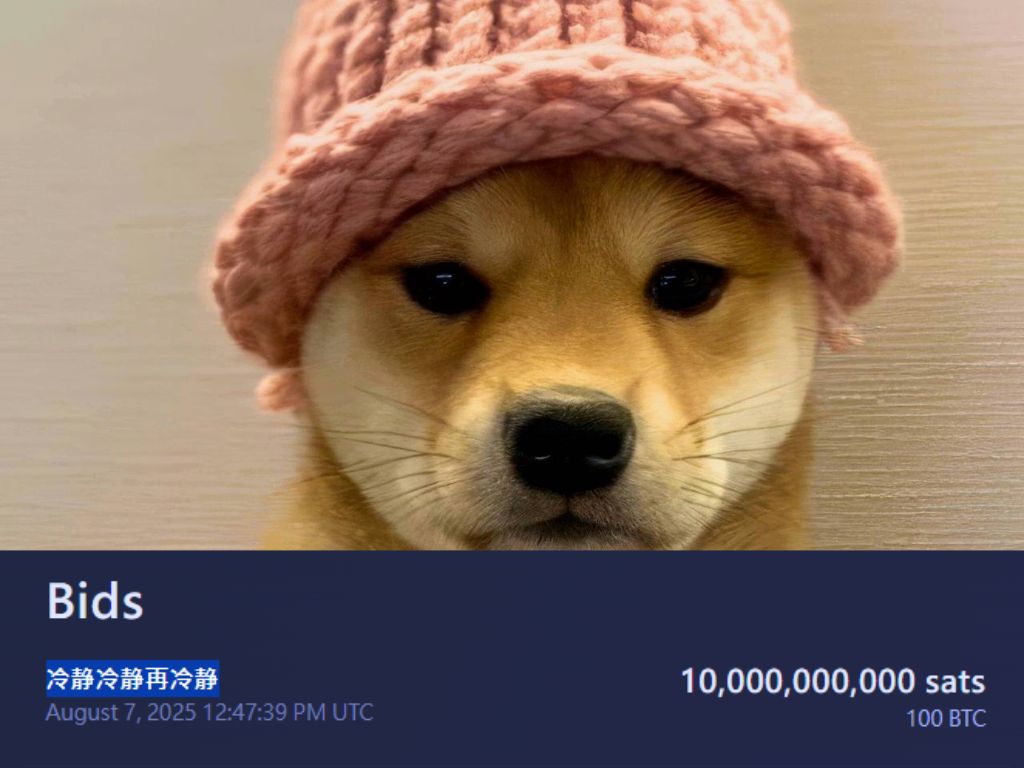 全世界最貴的帽子拍賣 3.47 億！中國 KOL 出價 100 BTC 競標 Dogwifhat 迷因原型帽