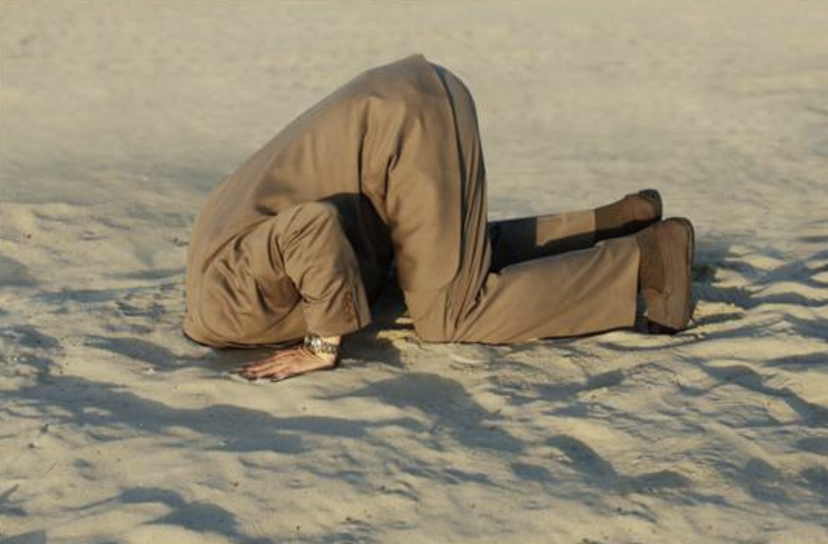 輝達財報前科技股承壓，比特幣跌破 9 萬鎂後反彈