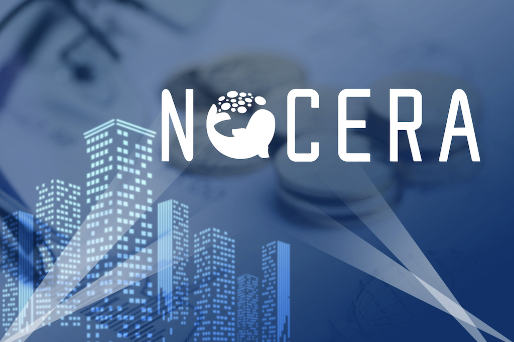 水產公司 Nocera 獲最高 3 億美元私募融資，用於支持數位資產戰略與收購