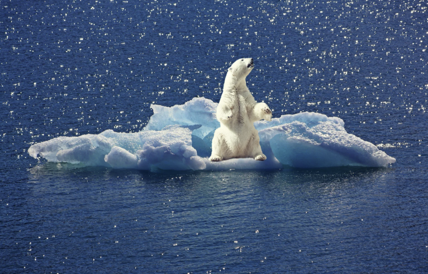 科技股拋售加劇，比特幣跌落至 71K