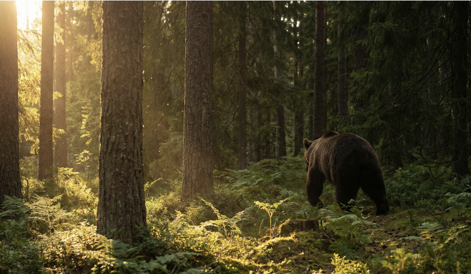 貝萊德擬推動 iShares ETF上鏈，有望引領市場走出熊市？