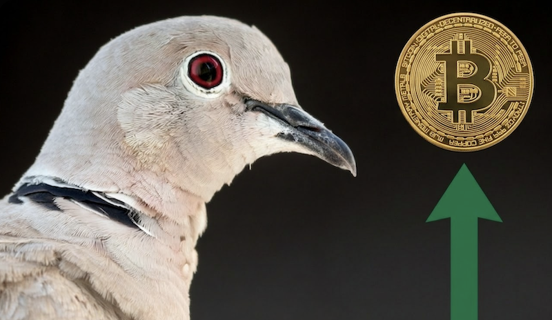 比特幣價格進入關鍵壓力區間！知名交易員 Eugene：已反手做多