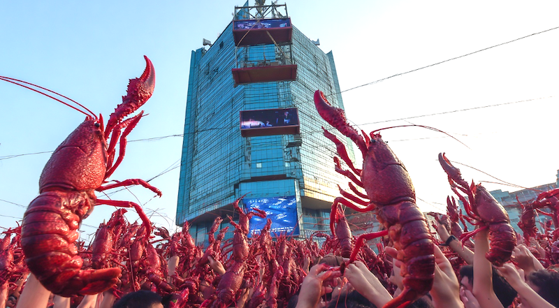 中國掀起「養龍蝦」熱潮，騰訊雲 OpenClaw 使用者突破 10 萬人